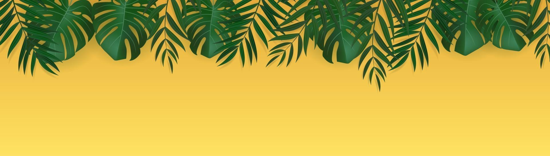 Natural Realistic Green Palm Leaf Tropical Background. Vector illustration EPS10