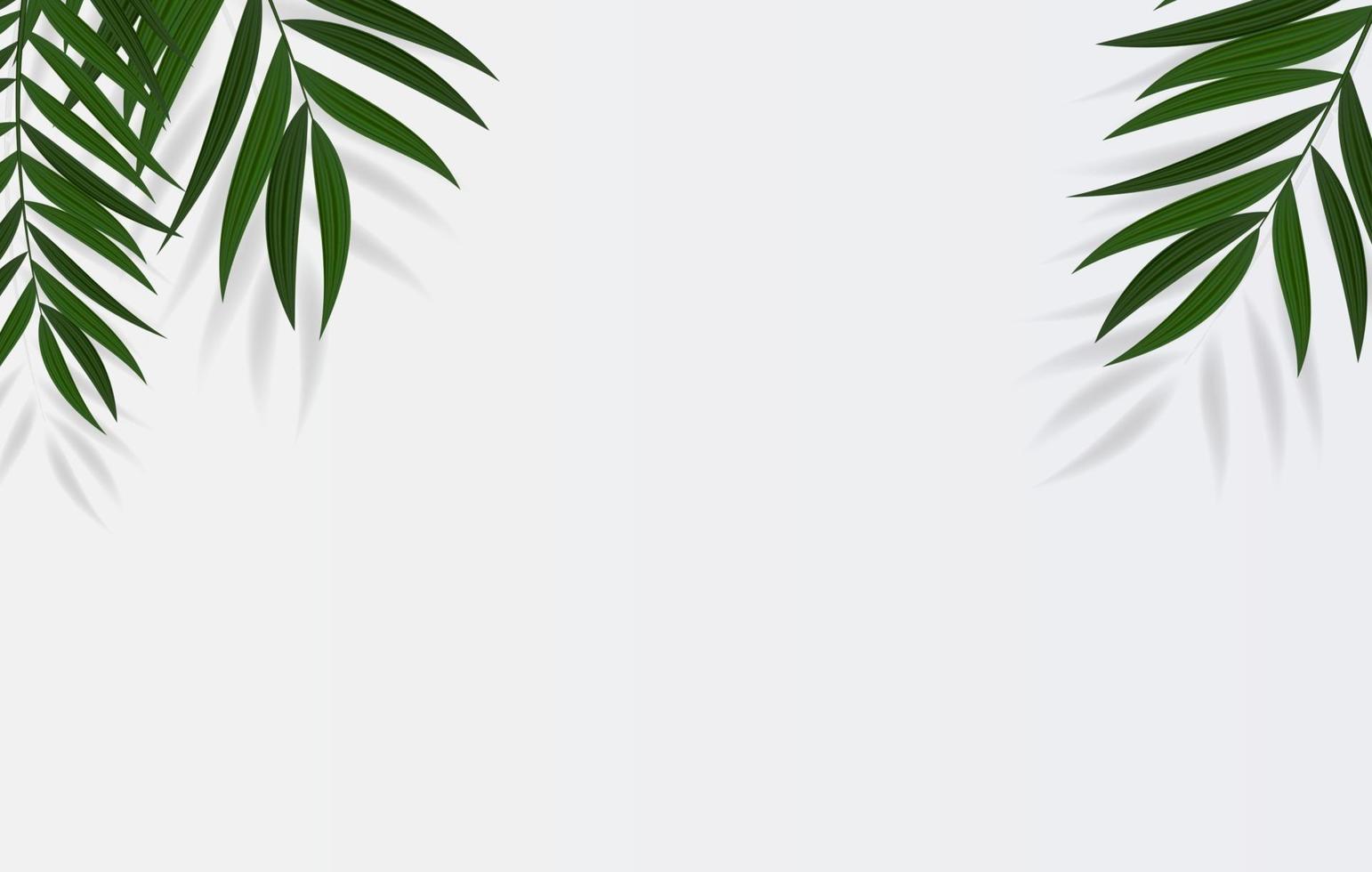 Abstract Realistic Green Palm Leaf Tropical Background. Vector illustration EPS10