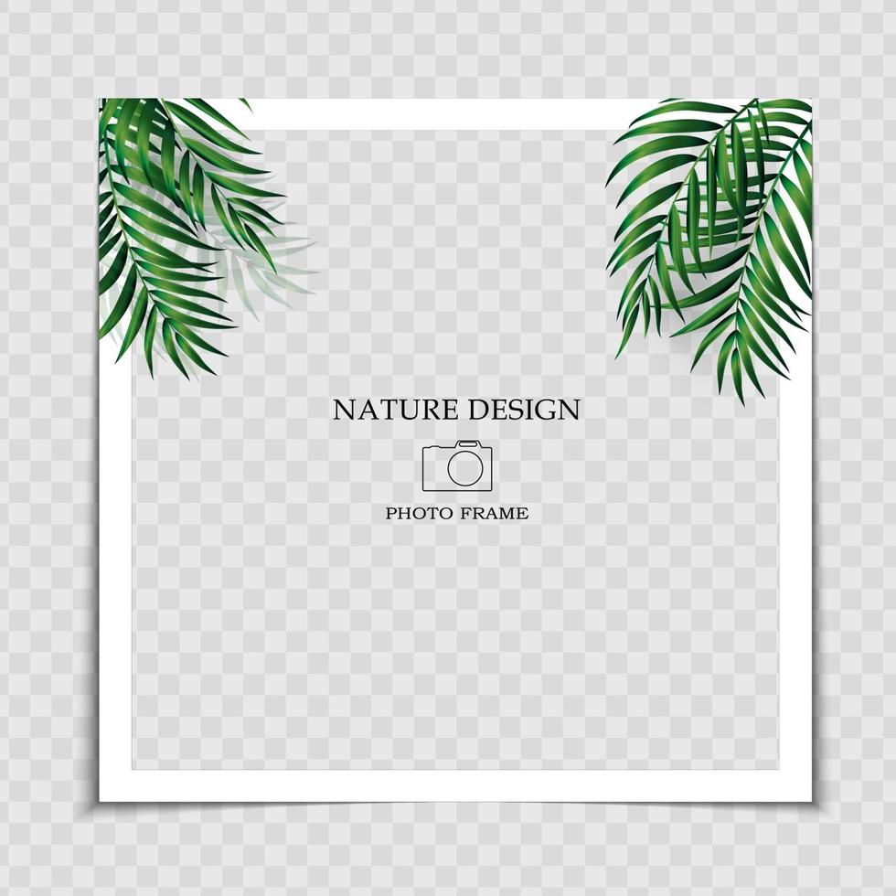 Plantilla de marco de fotos de fondo natural con hojas de palma para publicar en redes sociales. ilustración vectorial eps10 vector