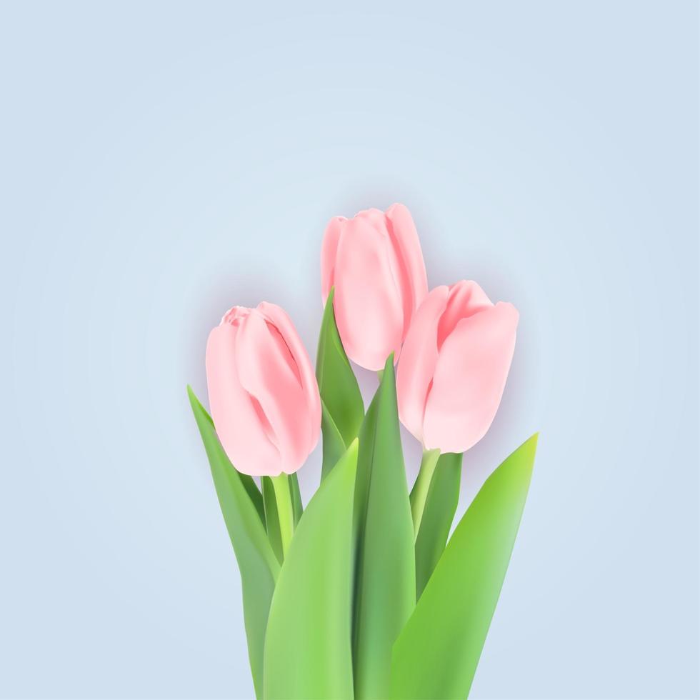 Realistic Vector Illustration Colorful Tulips Background. EPS10