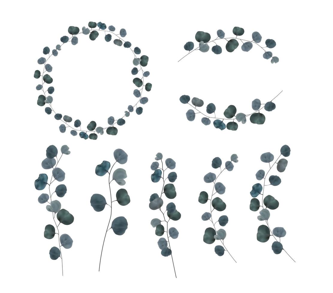 Realistic natural branch leaves eucalyptus isolated on white background. Vector Illustration