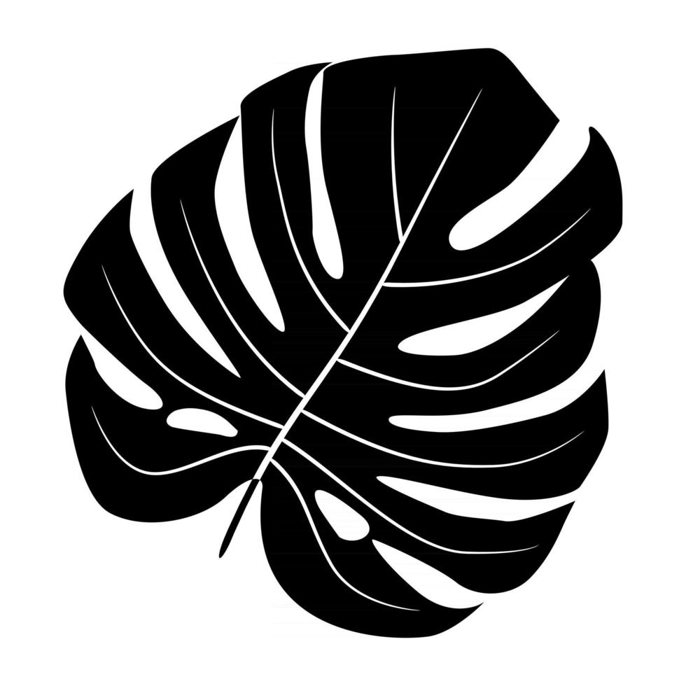 Siluetas negras de hojas de monstera aisladas sobre fondo blanco. ilustración vectorial eps10 vector