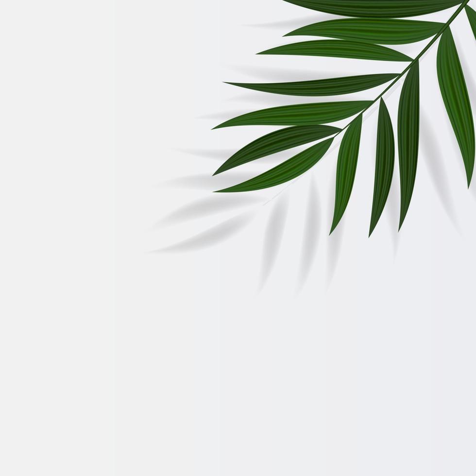 Abstract Realistic Green Palm Leaf Tropical Background. Vector illustration EPS10