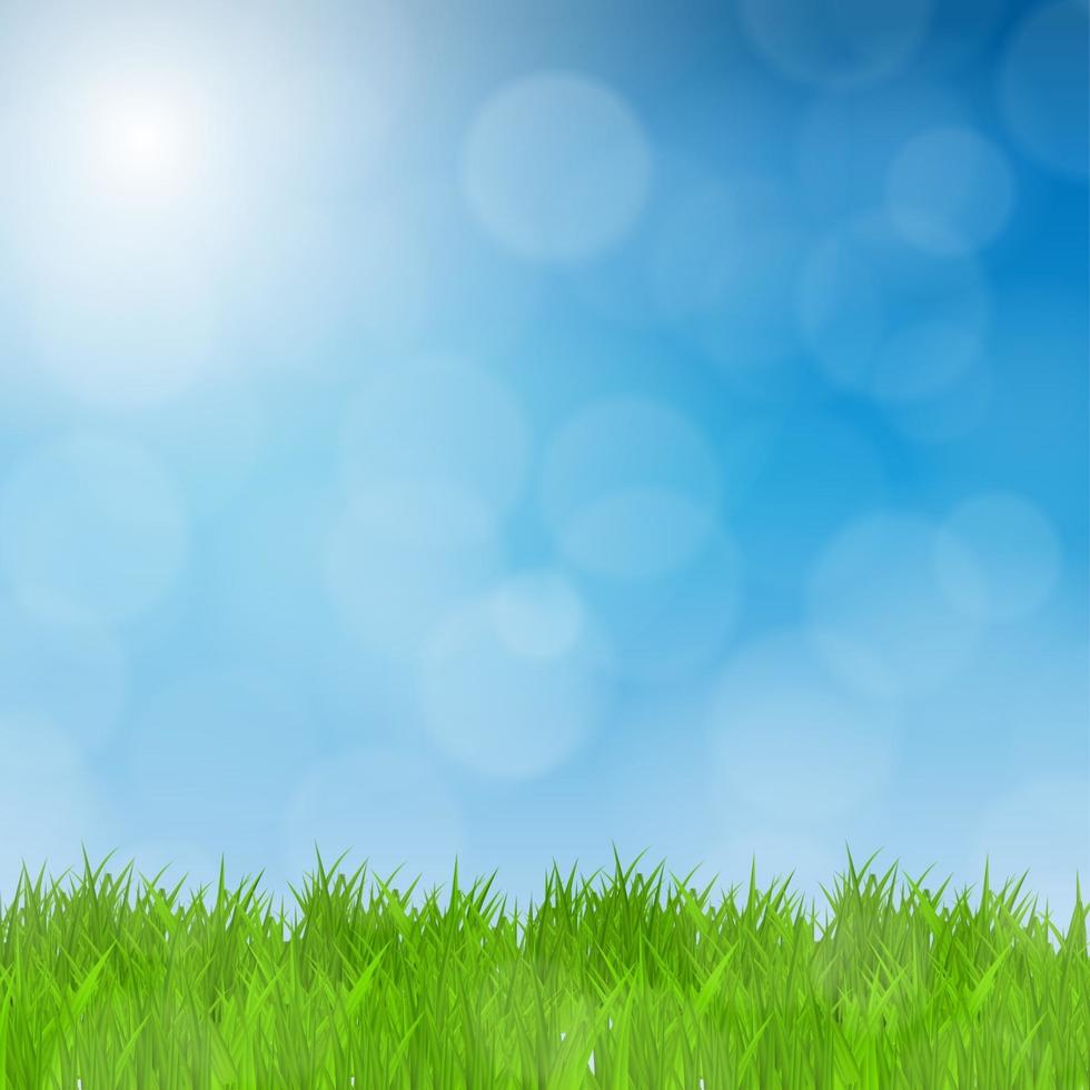 Green Grass Field and Blue Sky Natural Background. Vector Illustration