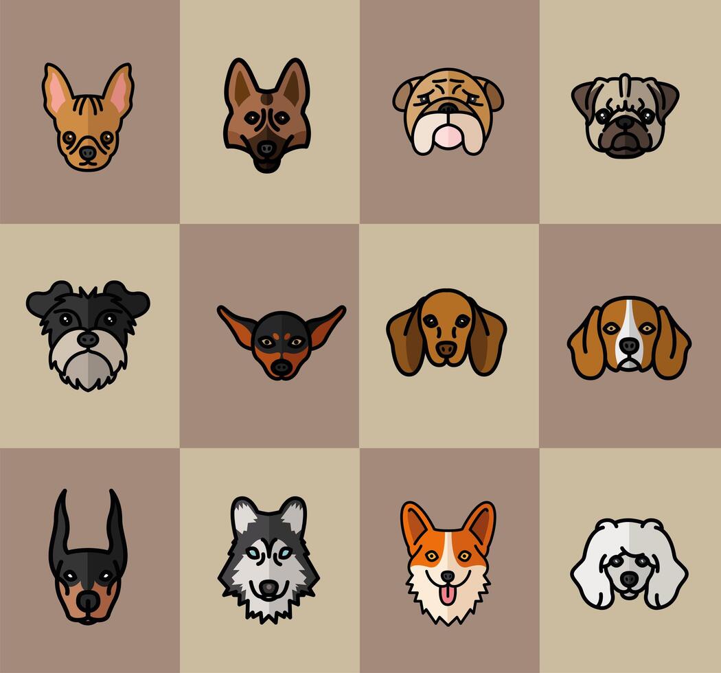 twelve dogs pets mascots breed characters vector