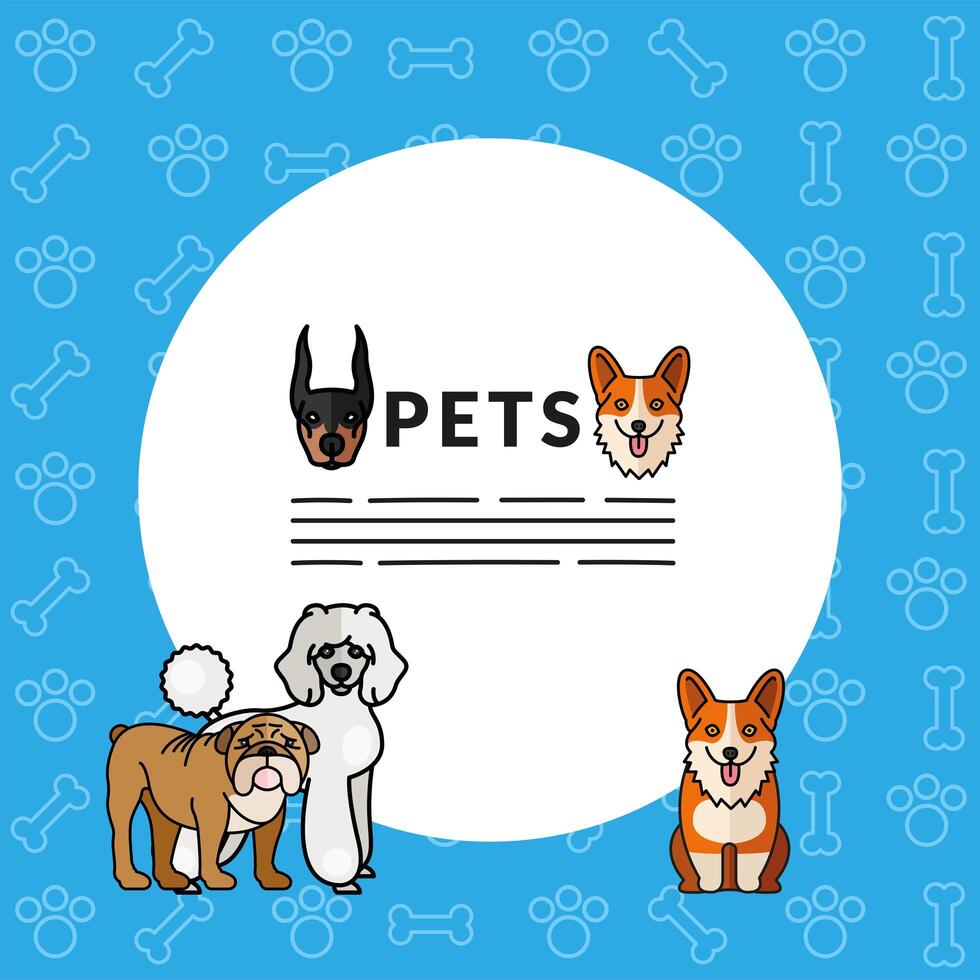 five dogs pets mascots breed characters with lettering in circular frame vector