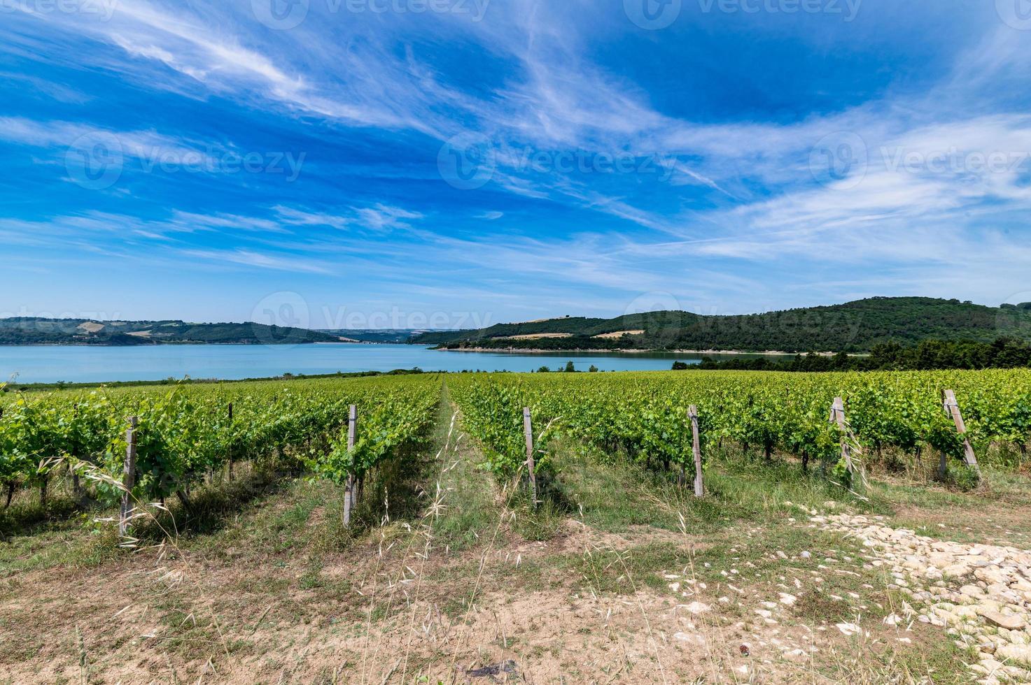 corbara lake in umbria with bathing areas photo