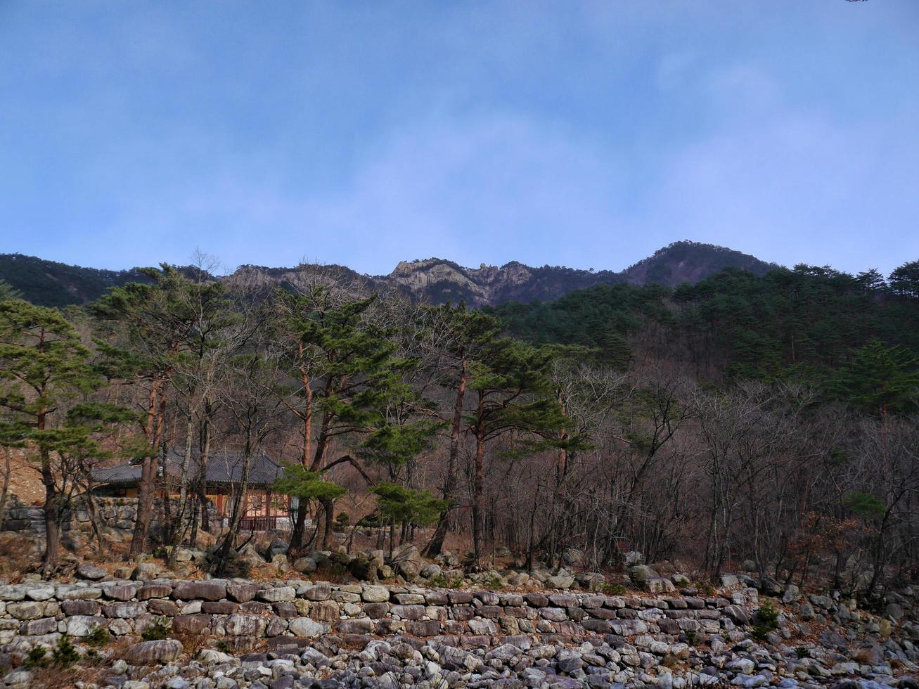 bosque de montaña en corea del sur. parque nacional seoraksan foto