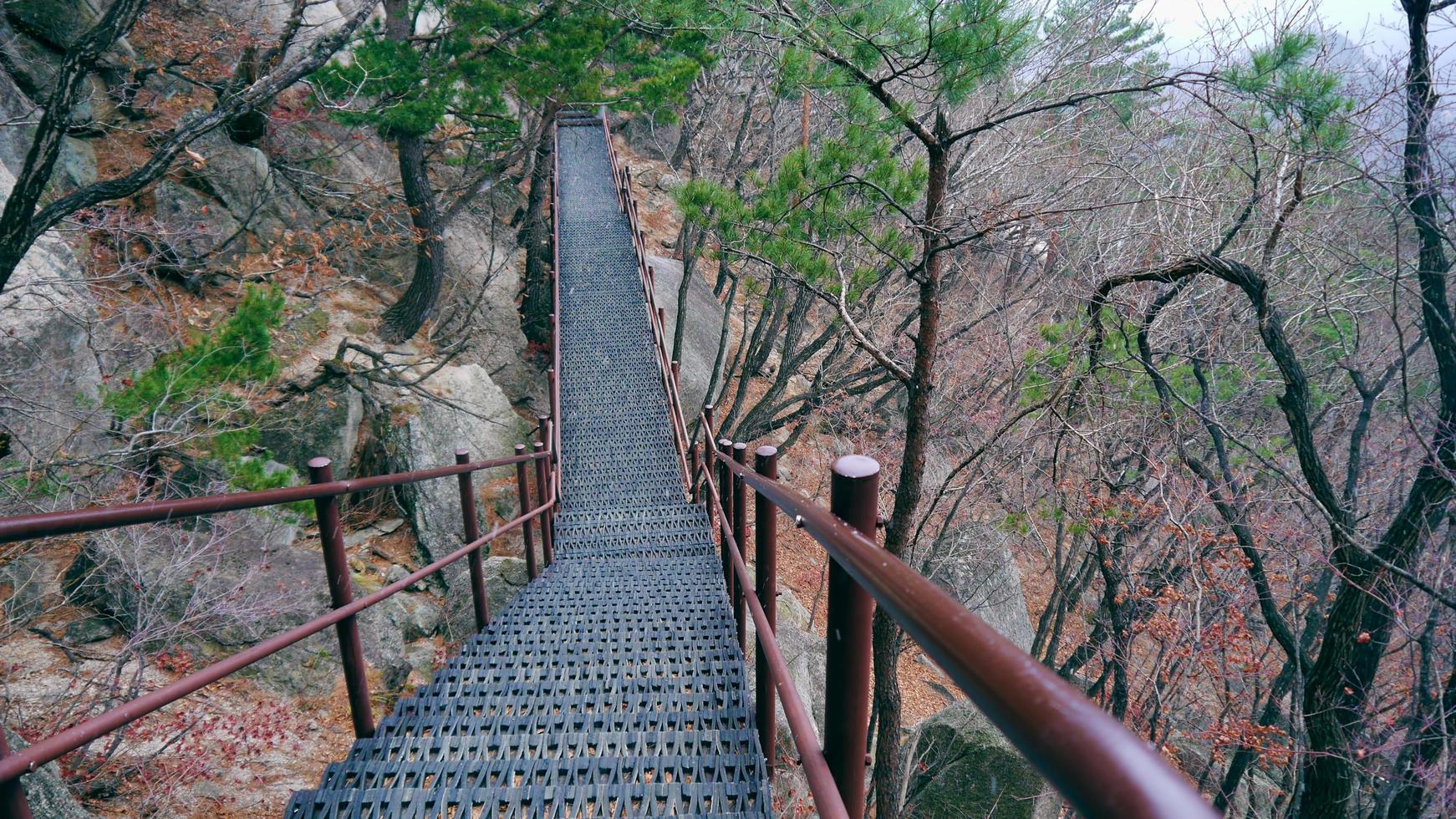 Stairs in the mountains. Seoraksan National Park. South Korea photo