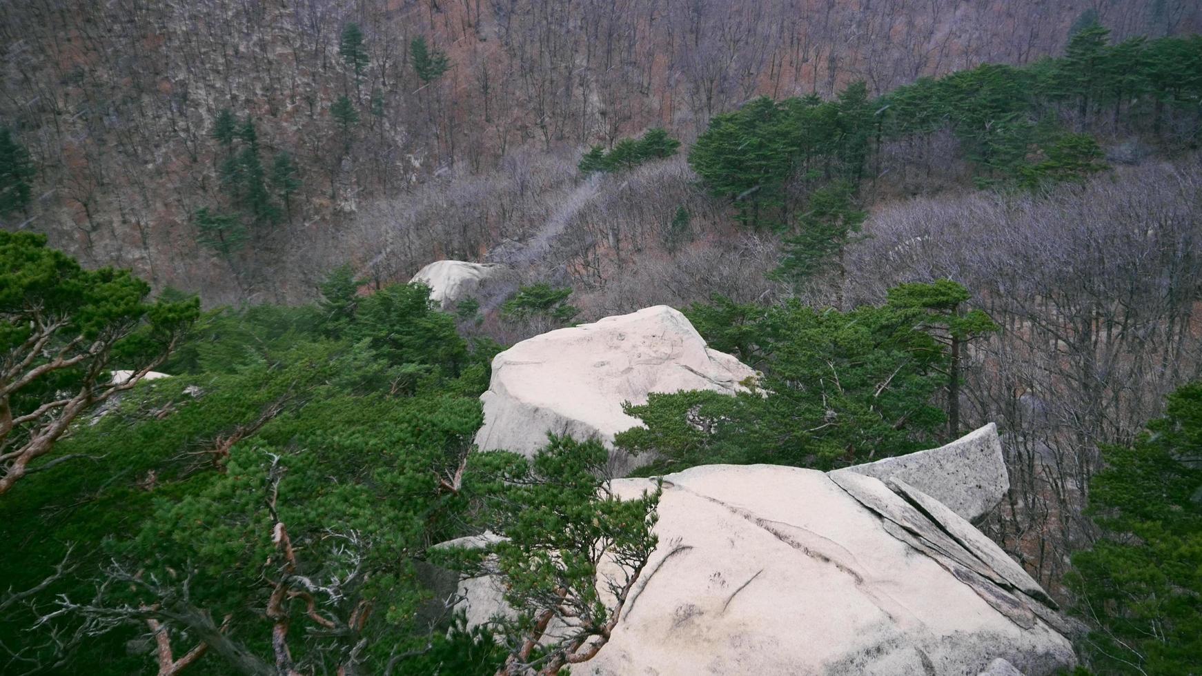 Ver hacia abajo a un bosque desde la montaña del parque nacional de Seoraksan. Corea del Sur foto