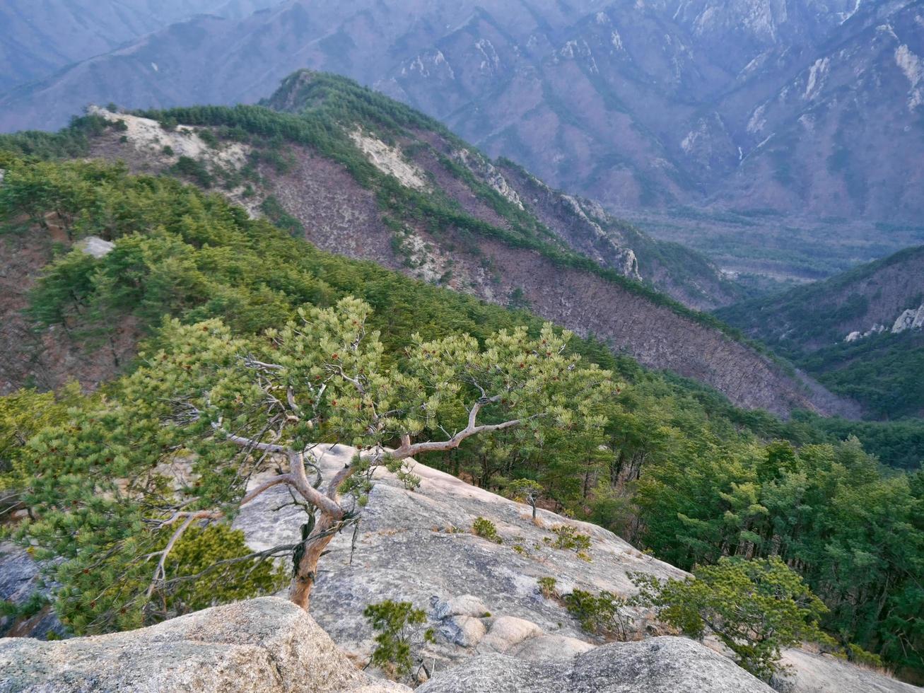 la vista a las hermosas montañas desde el pico alto. parque nacional de seoraksan. Corea del Sur foto