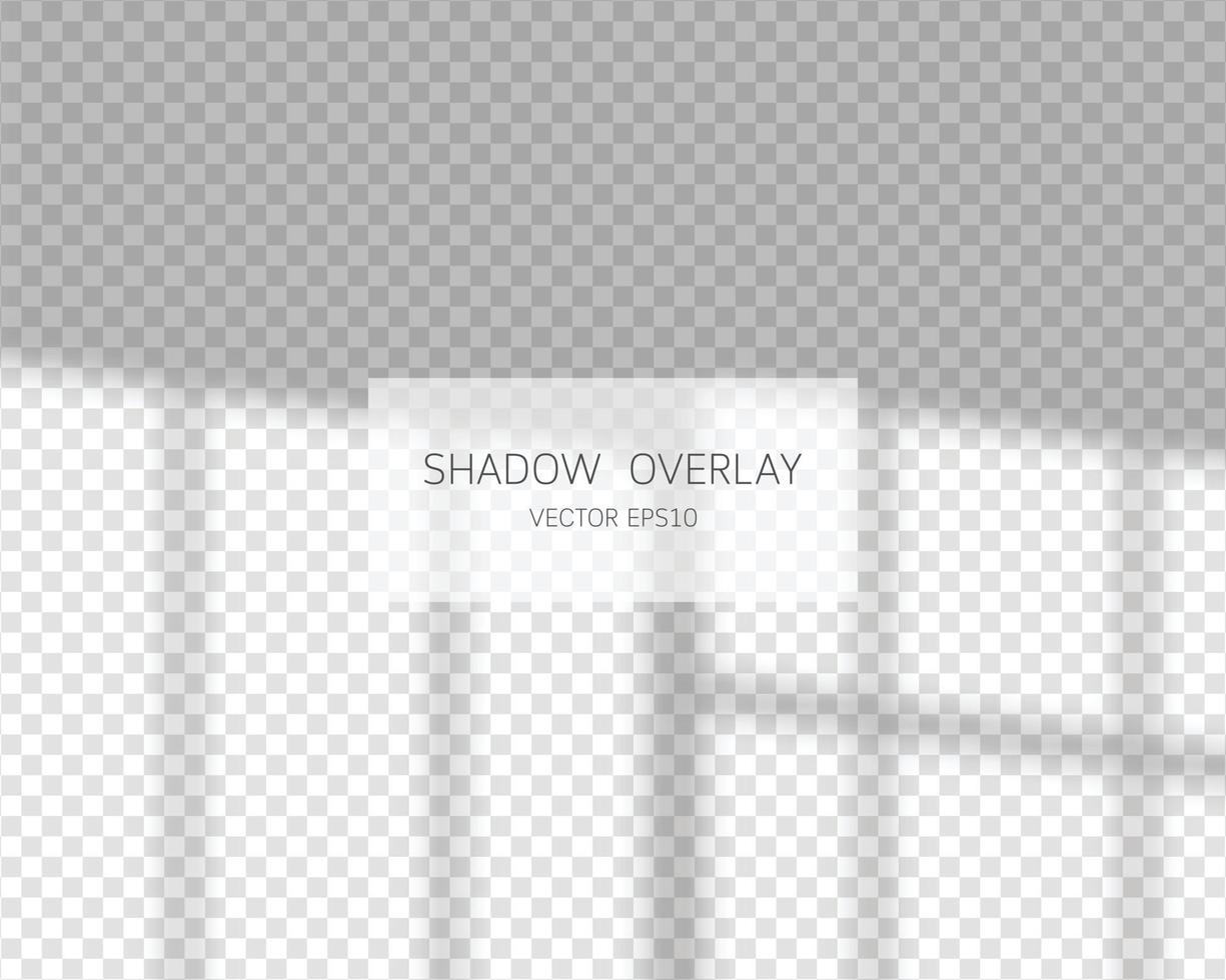Shadow overlay effect. Natural shadows from window isolated on transparent background. Vector illustration.