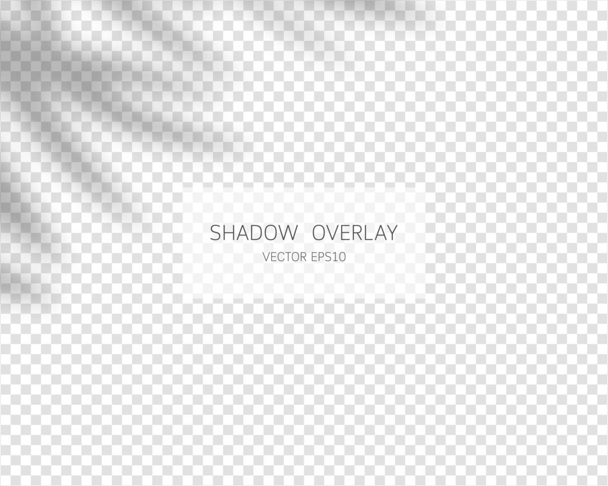 Shadow overlay effect. Natural shadows isolated on transparent background. Vector illustration.