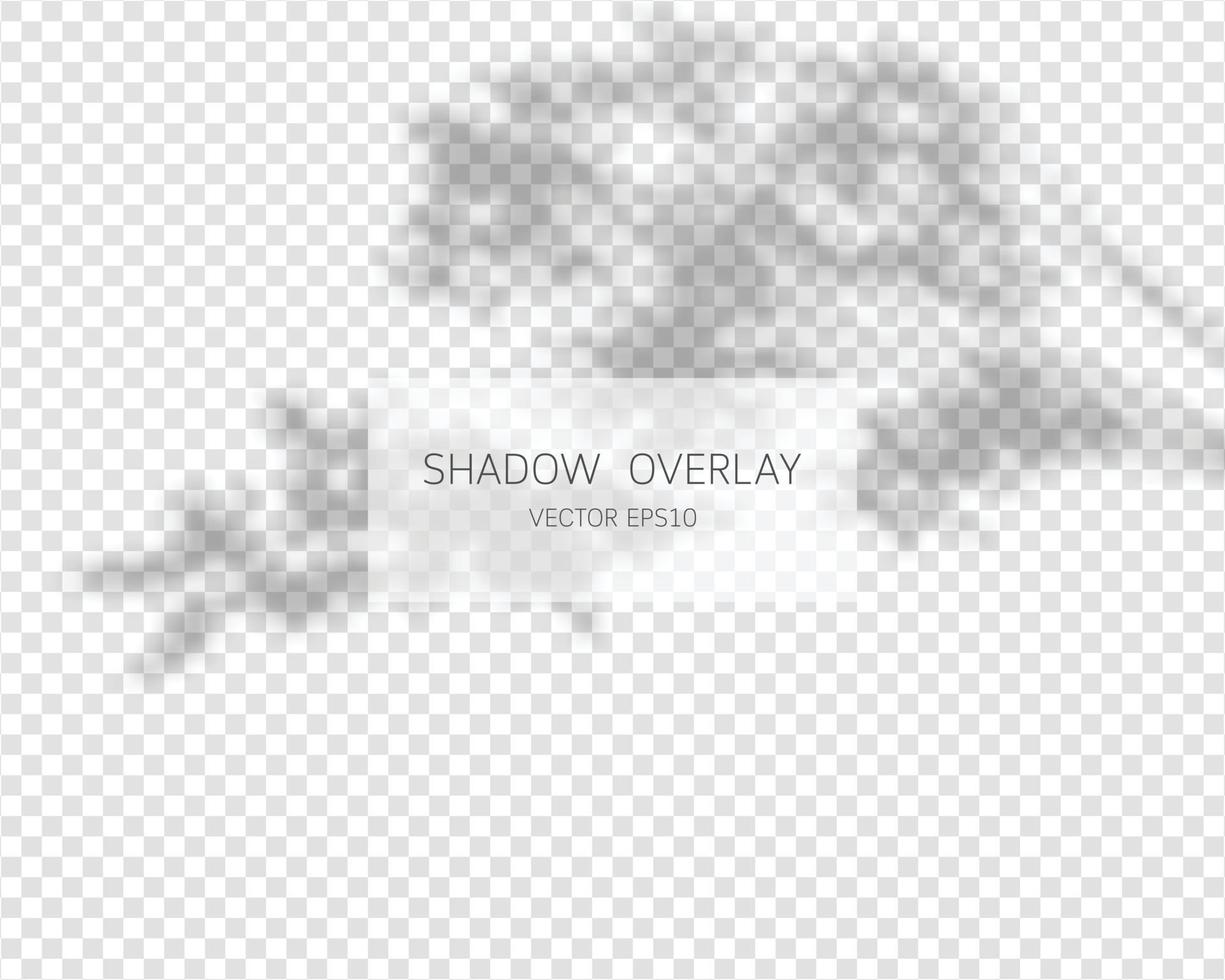 Shadow overlay effect. Natural shadows isolated on transparent background. Vector illustration.