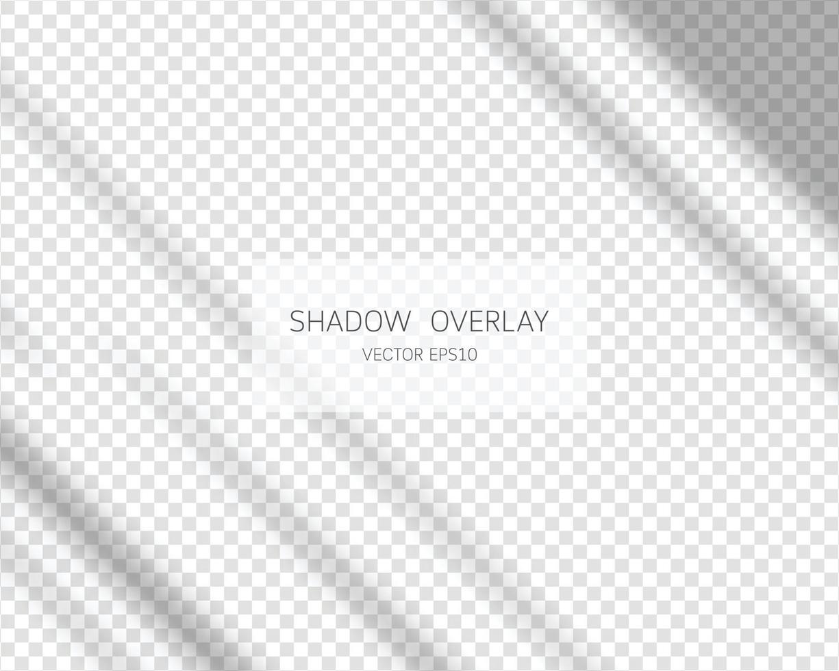 Shadow overlay effect. Natural shadows from window isolated on transparent background. Vector illustration.