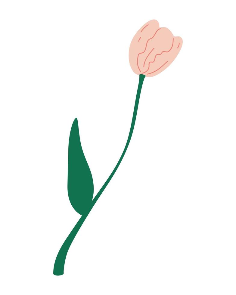 Tulip. Beautiful flower. Graphic design of postcard for International Women's Day with 8 March inscription. Colorful flat vector illustration.