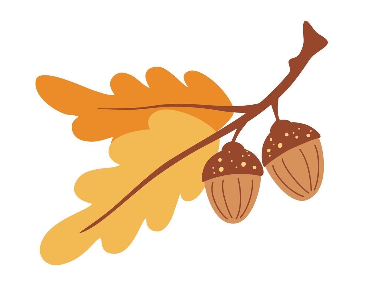 Branch with leaves and acorns. Oak. Autumn time. Forest object. Harvest time. Flat cartoon colorful vector illustration.