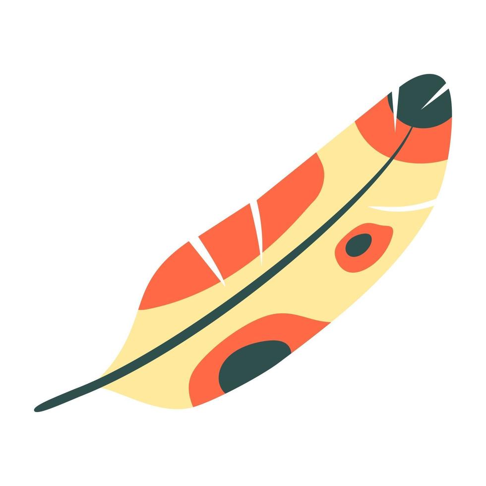 Beautiful Bird Feather vector