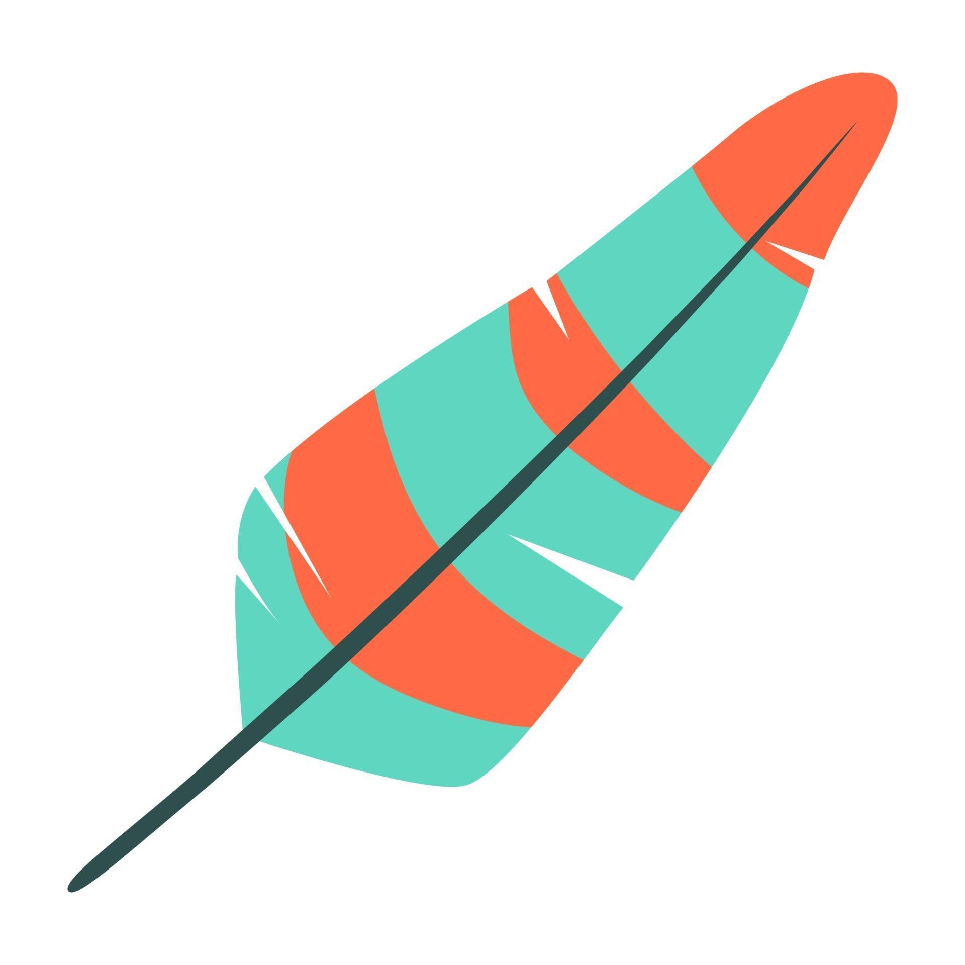 Beautiful Bird Feather 2725024 Vector Art at Vecteezy