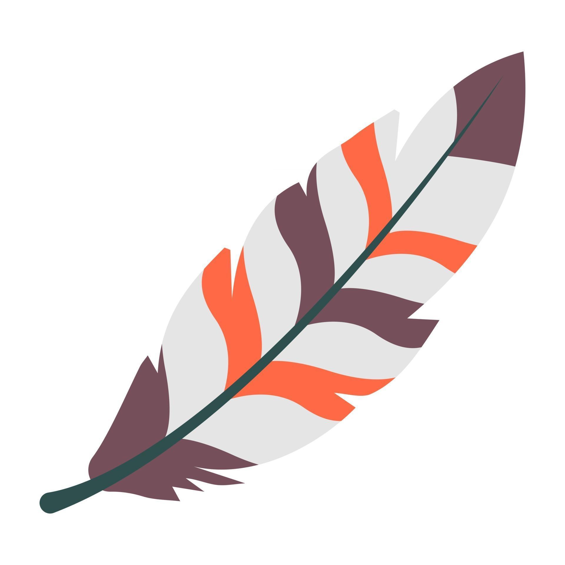 Beautiful Bird Feather 2725032 Vector Art at Vecteezy