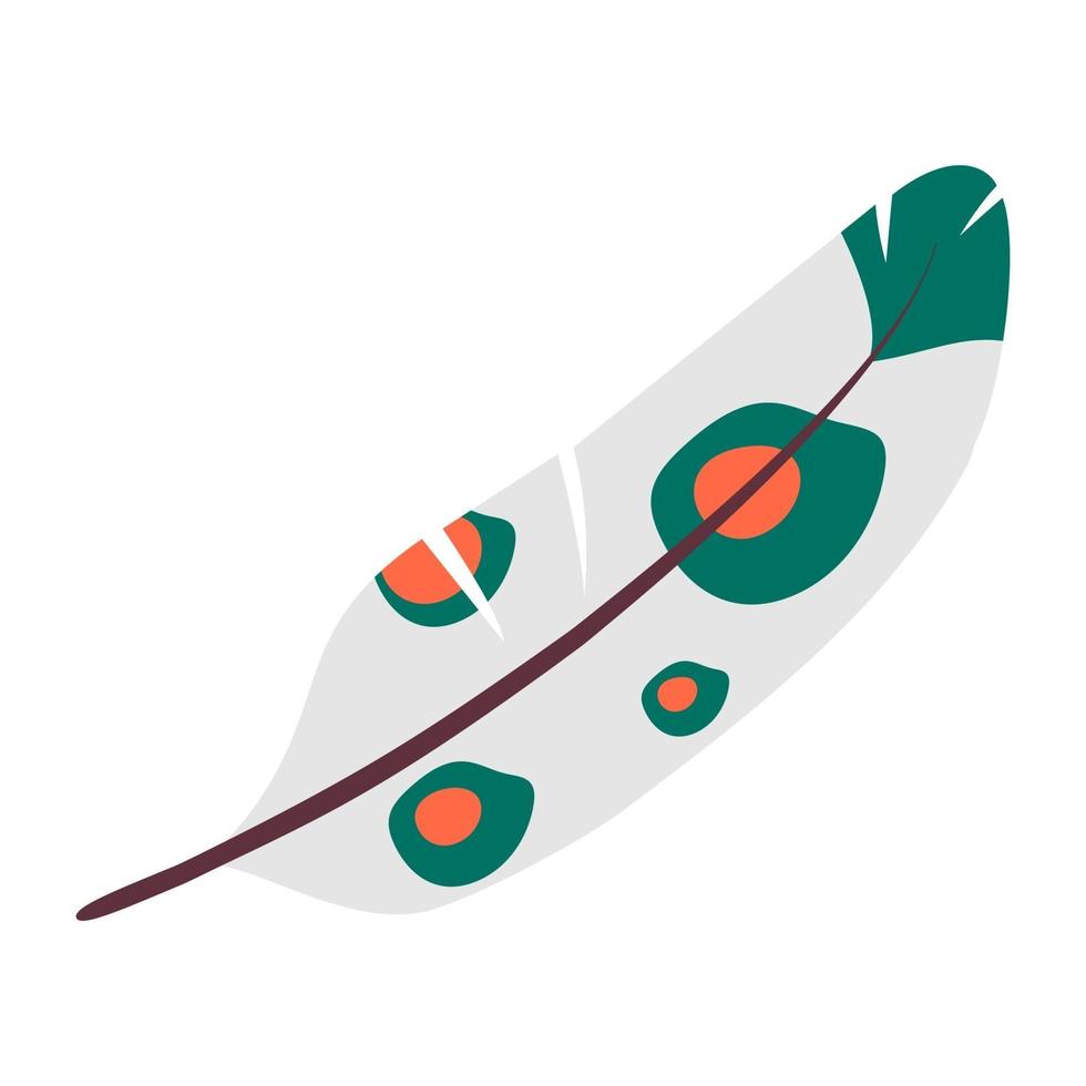 Beautiful Bird Feather vector