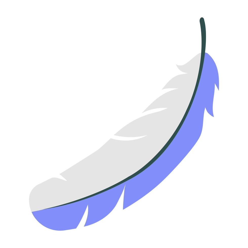 pluma de pájaro de colores vector