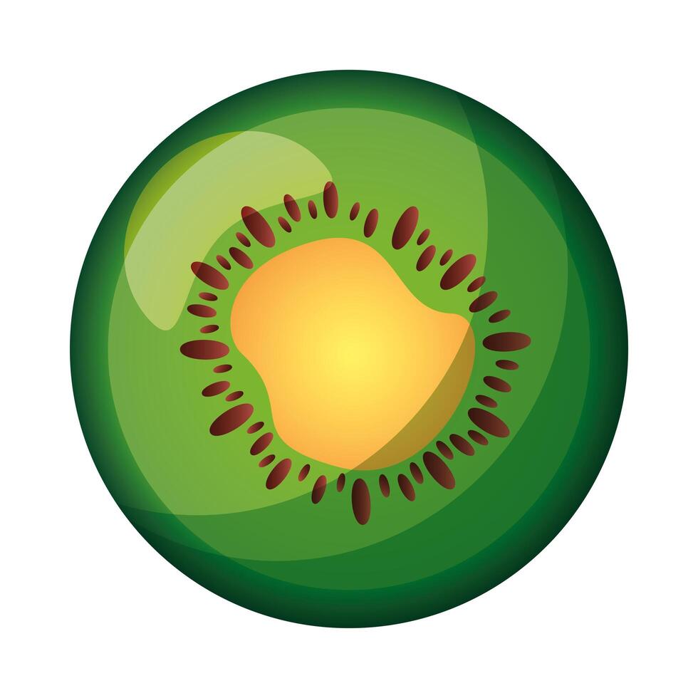 Isolated kiwi fruit vector design