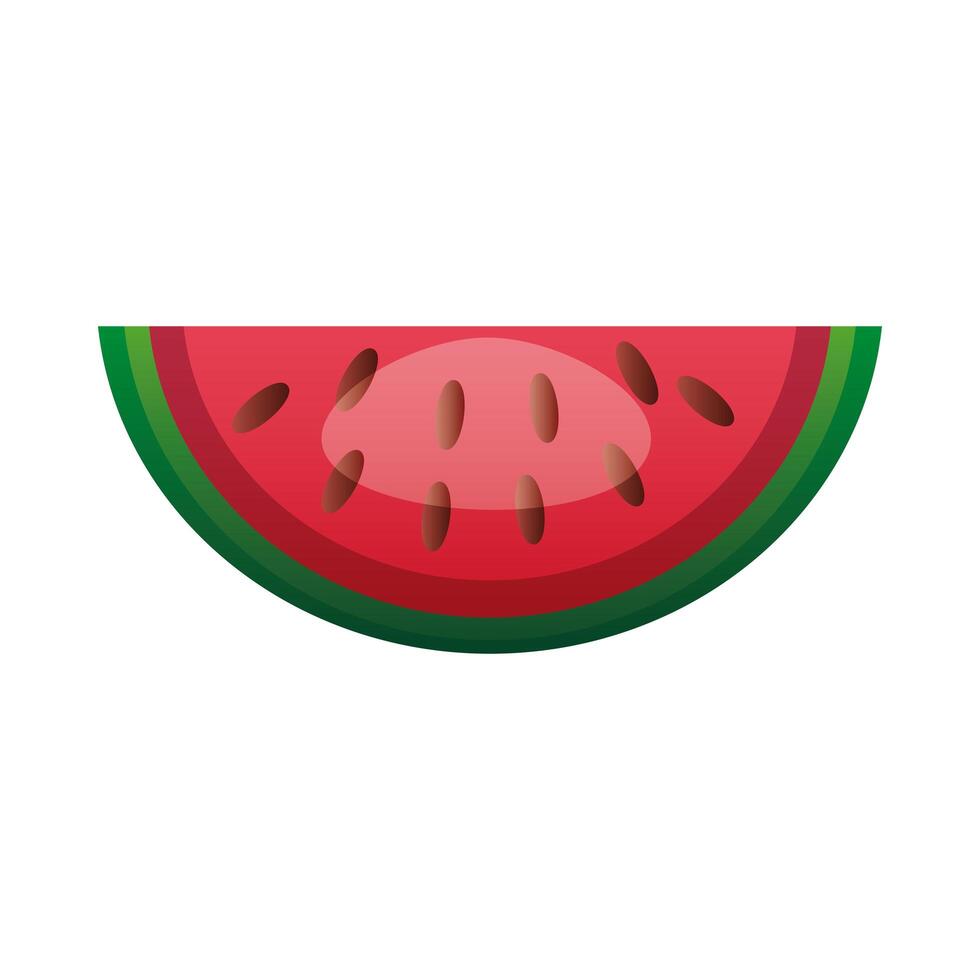 Isolated watermelon fruit vector design