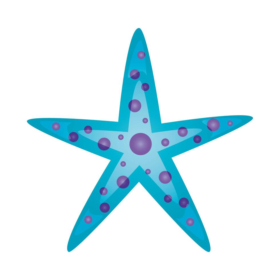 diseño de vector de estrella de mar aislado