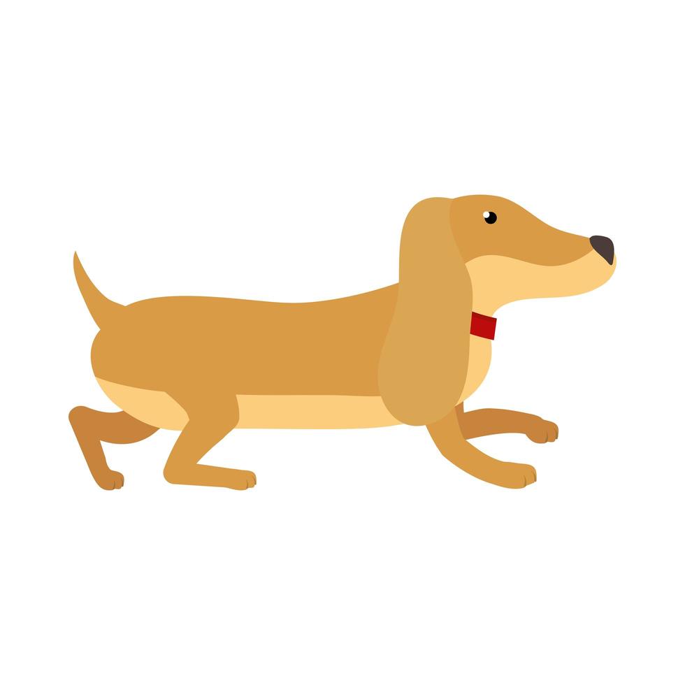 Isolated dog mascot vector design