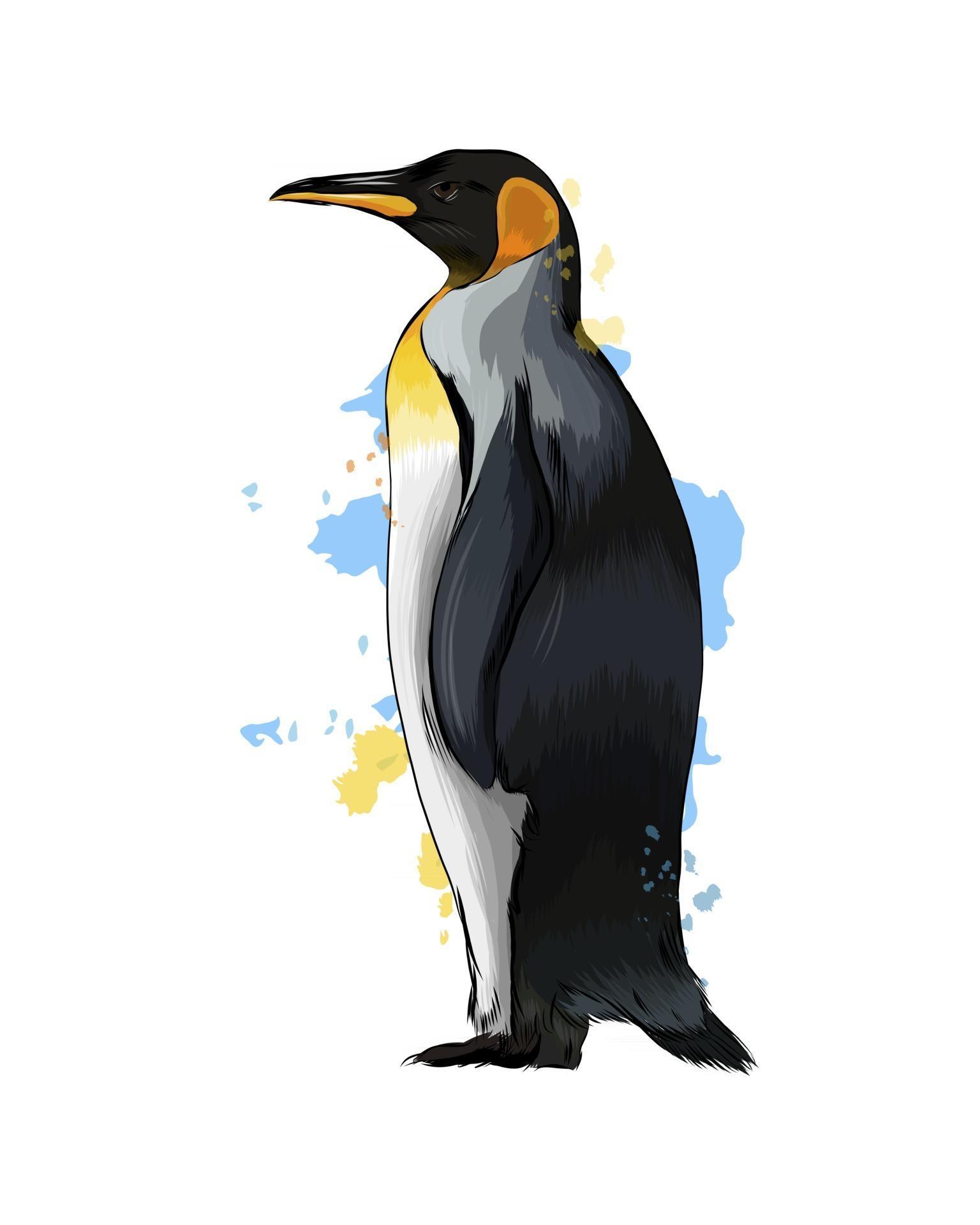 Emperor penguin from a splash of watercolor, colored drawing, realistic