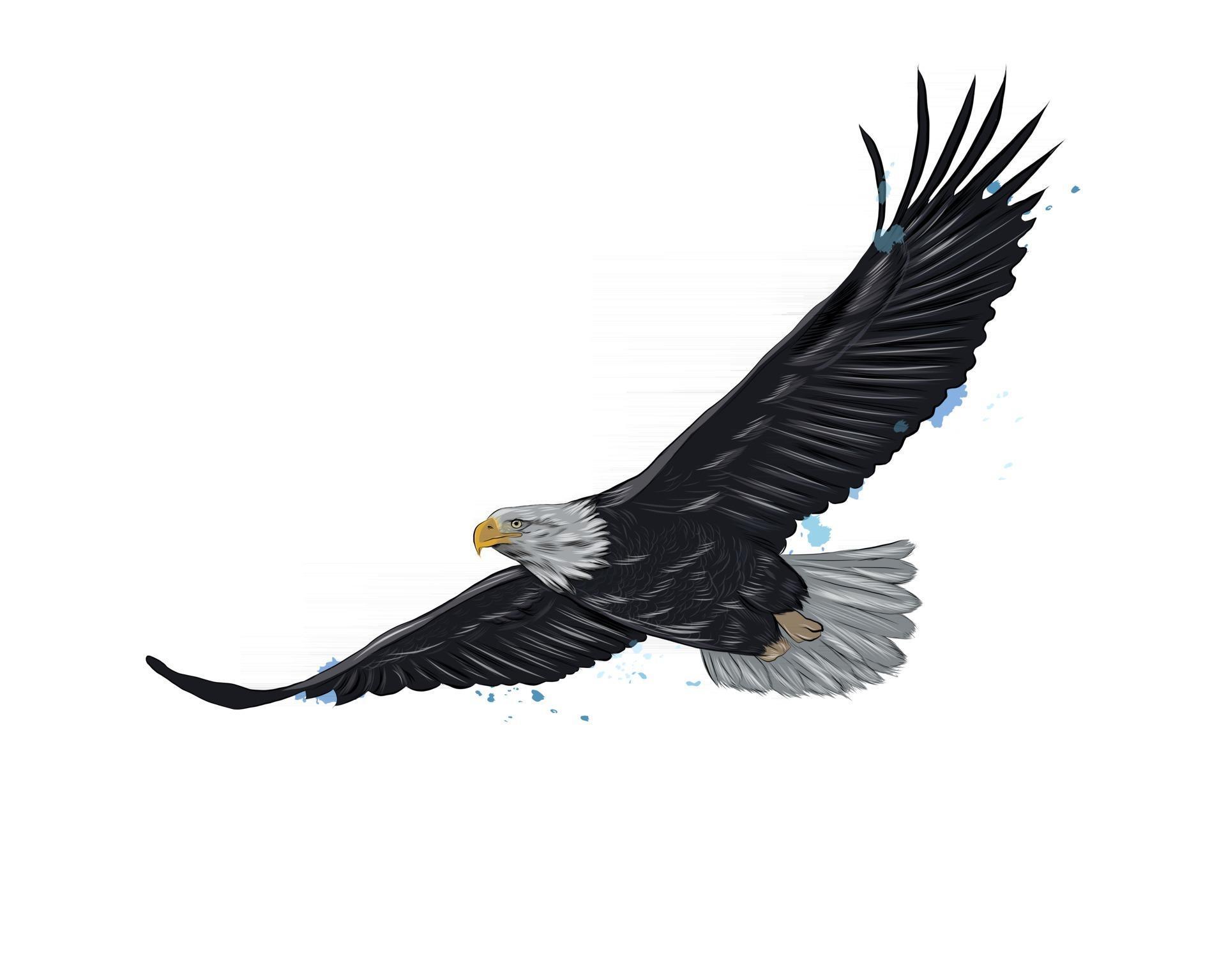 Flying Bald Eagle From A Splash Of Watercolor Colored Drawing Realistic Vector Illustration Of Paints 2726798 Vector Art At Vecteezy