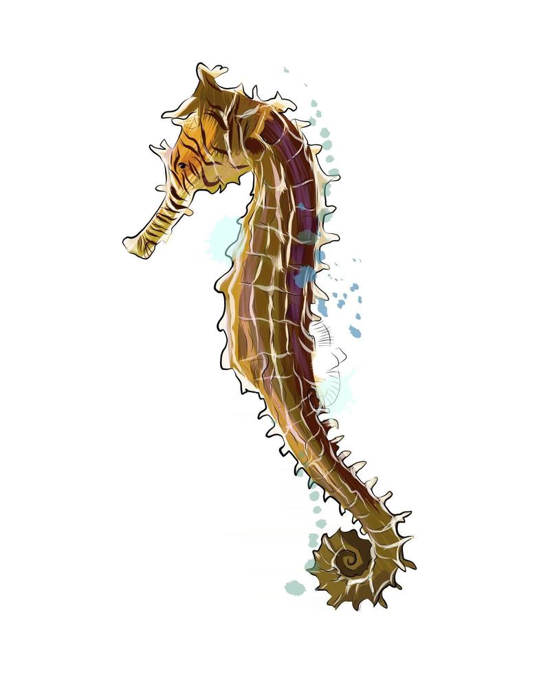 Sea Horse from a splash of watercolor, colored drawing, realistic. Vector illustration of paints