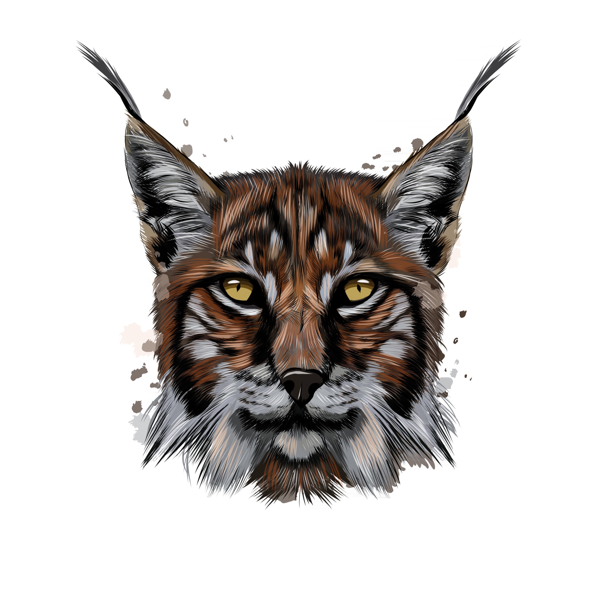 Lynx head portrait from a splash of watercolor, colored drawing