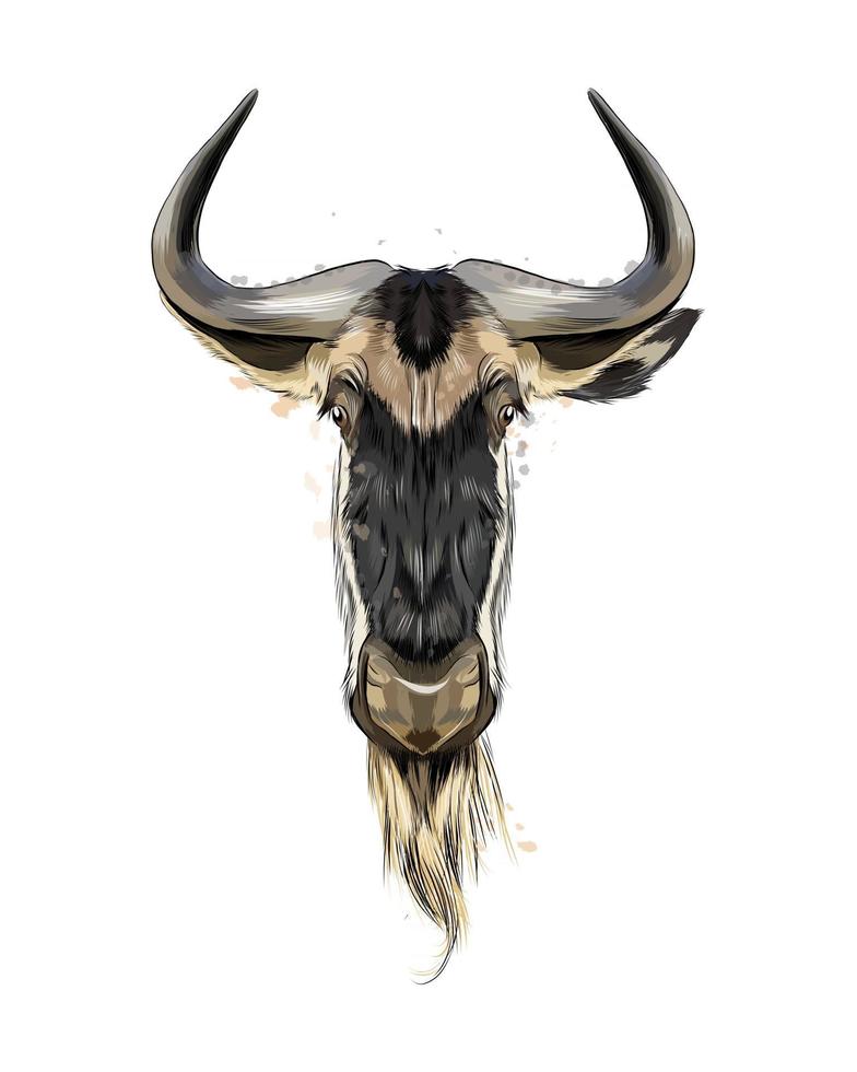 Wildebeest head portrait from a splash of watercolor, colored drawing, realistic. Vector illustration of paints