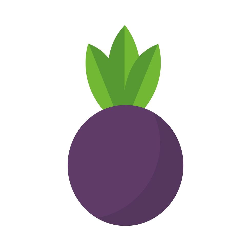 Isolated radish vegetable vector design