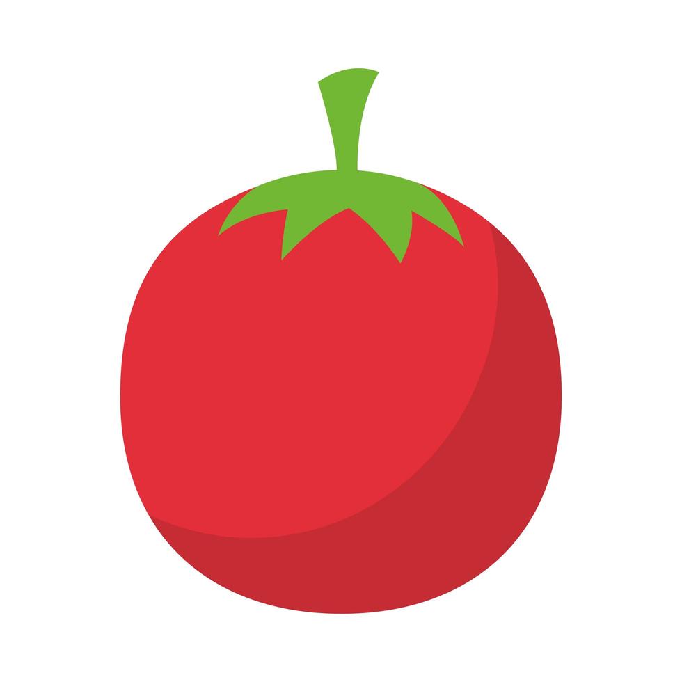 diseño de vector vegetal de tomate aislado