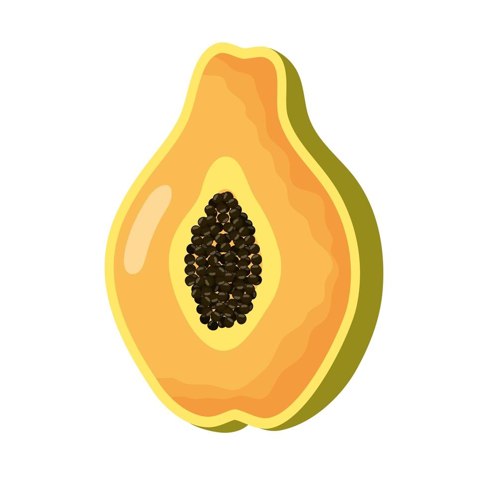 papaya fresh fruit healthy icon vector