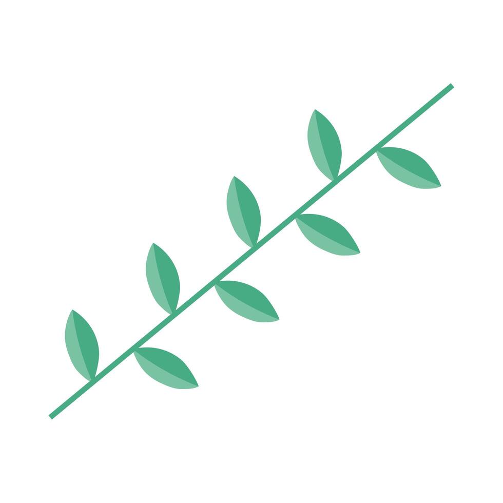 branch with leafs nature icon vector