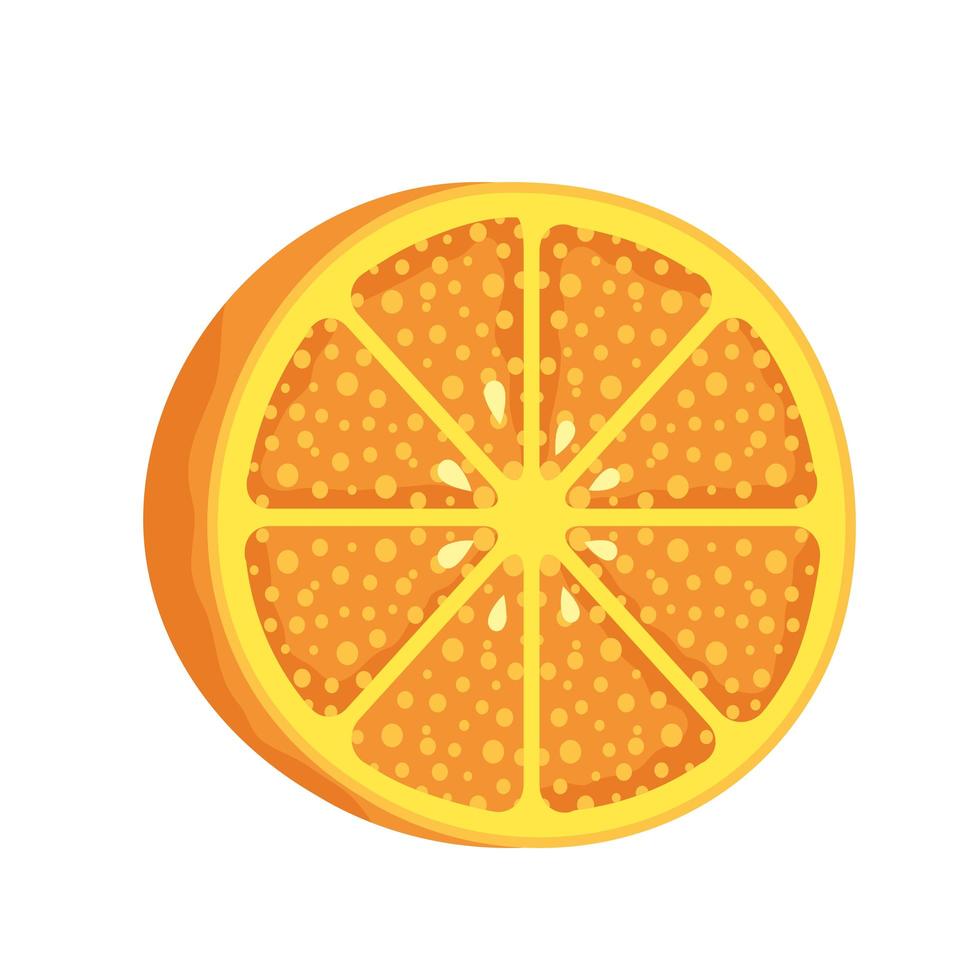 orange citrus fruit healthy icon vector