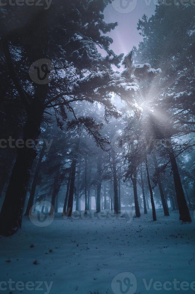 invierno en la montaña en temporada de invierno foto