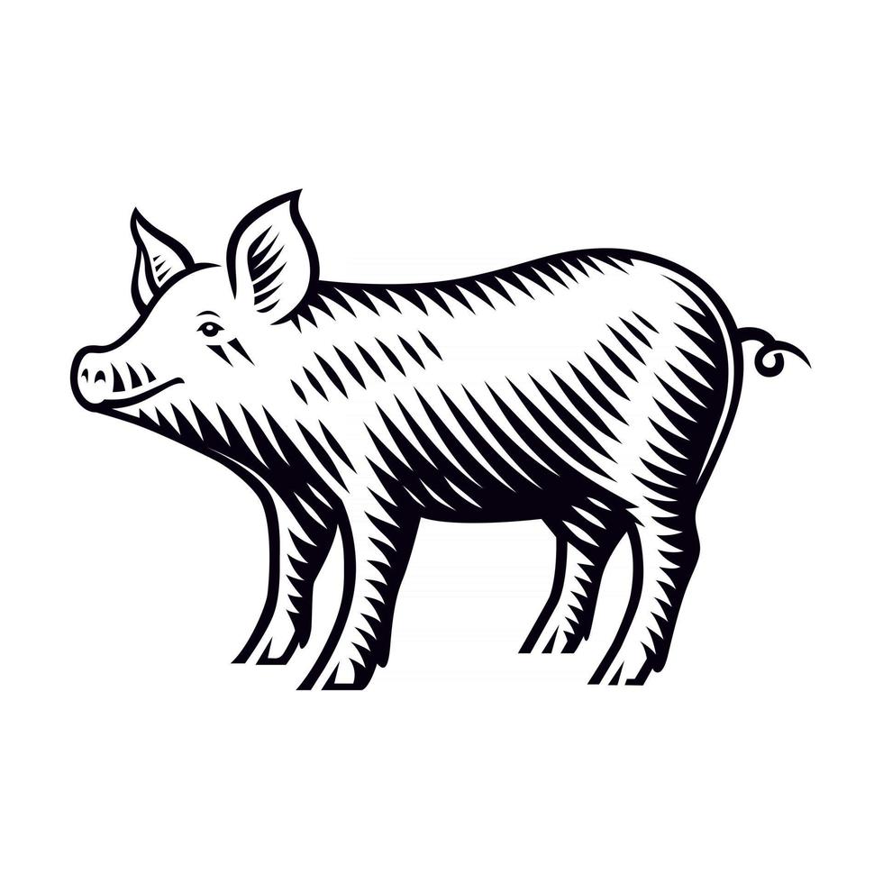 A black and white vector illustration of a piglet