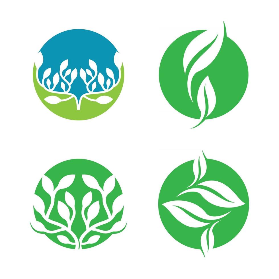 Leaf logo images vector
