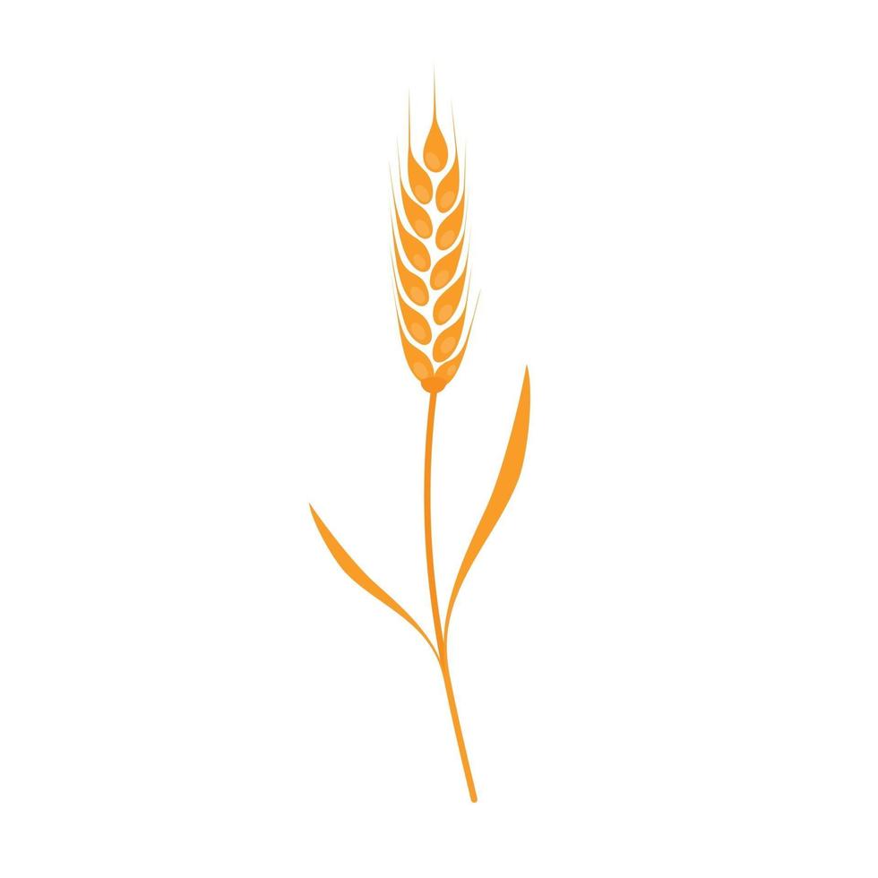 Wheat or rye ear, with whole grain and leaves, yellow wheat flat style design icon sign vector illustration isolated on white background