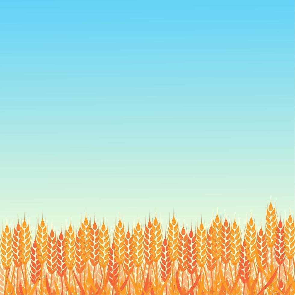 paisaje soleado de verano con un campo de trigo maduro degradado estilo plano diseño ilustración vectorial. hermoso fondo para sus necesidades. día soleado en el campo de trigo. vector