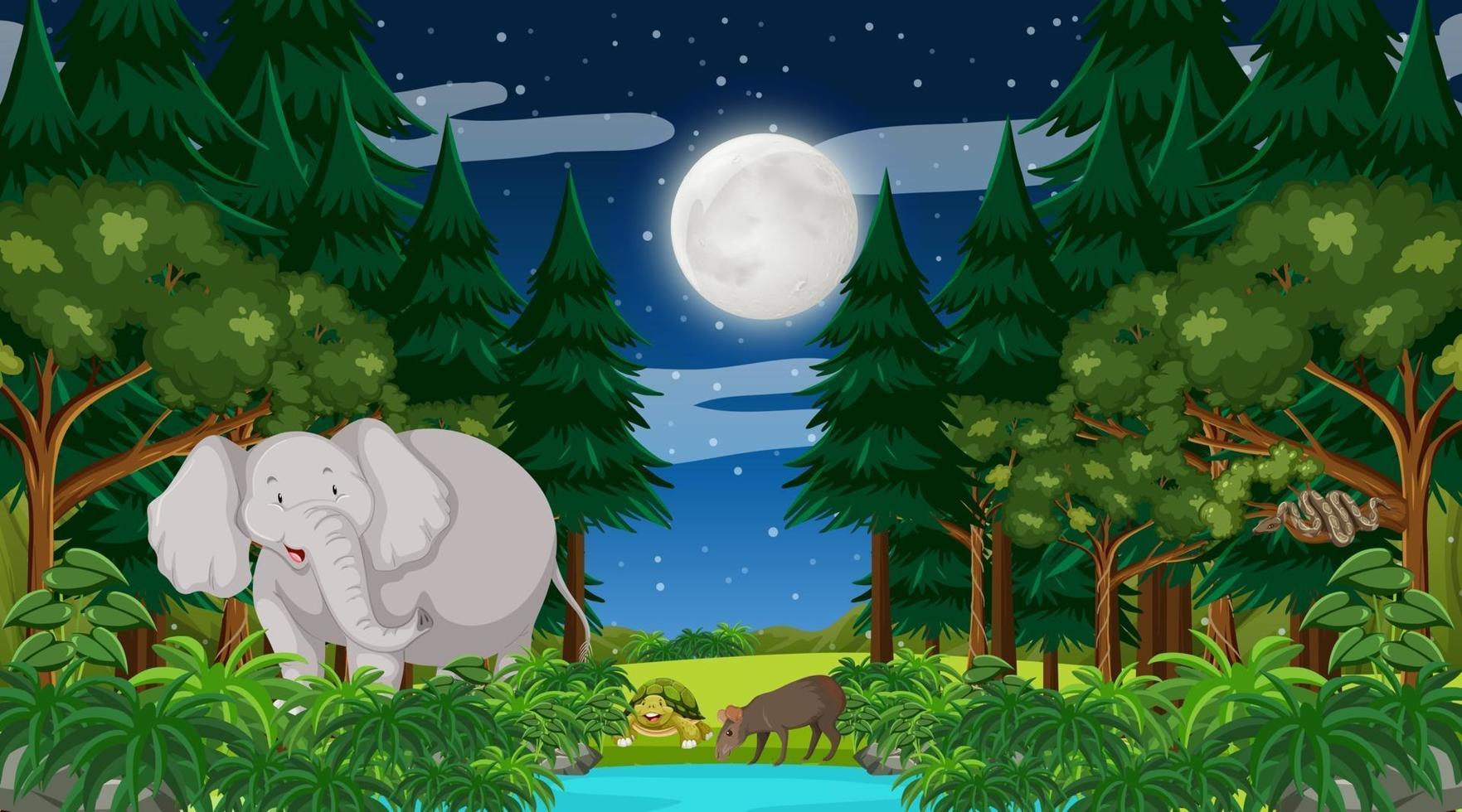 Forest at night time scene with a big elephant and other animals vector