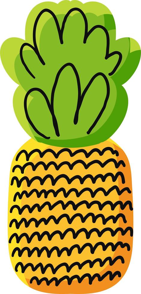 piña natural dibujado a mano ilustración vectorial vector