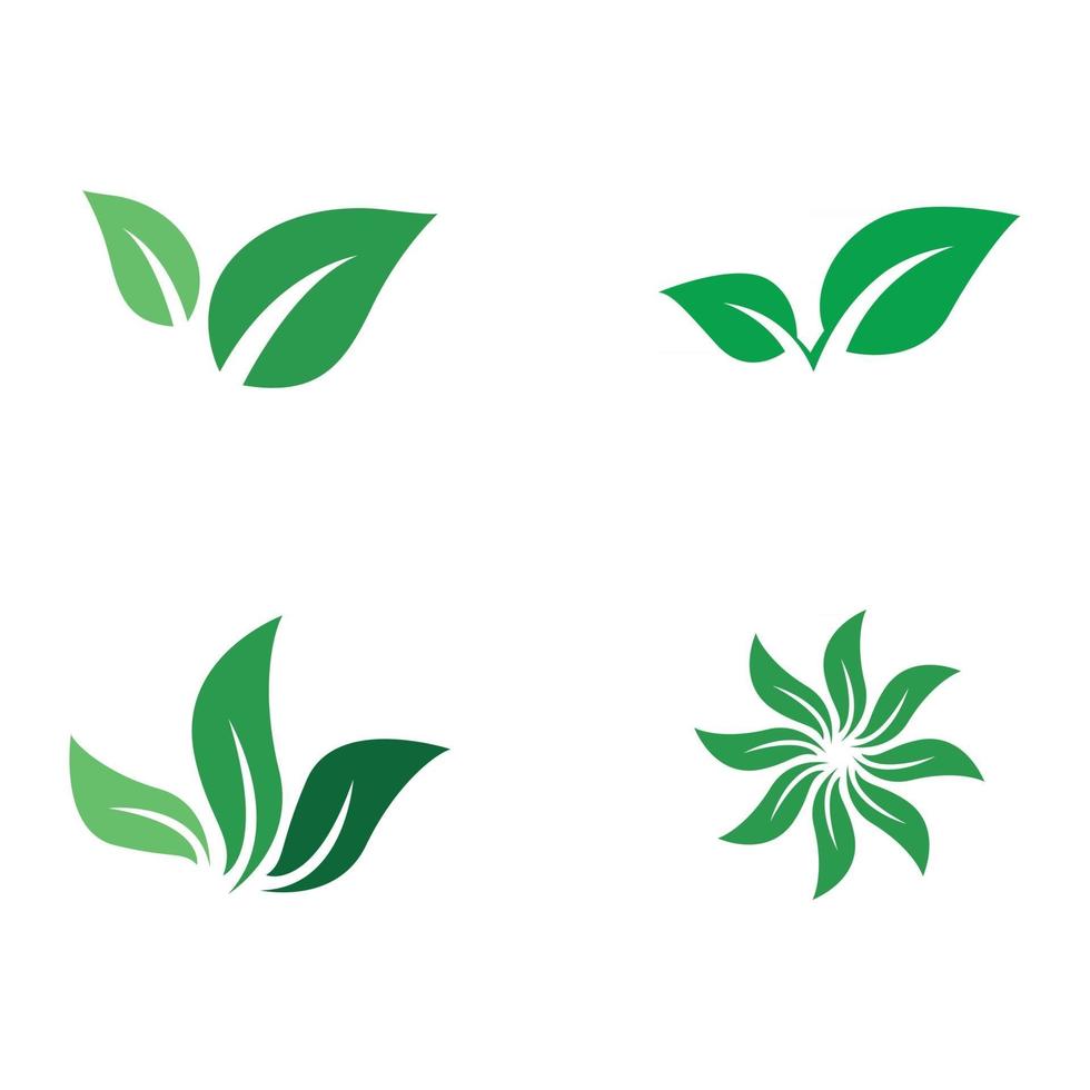 elemento de la naturaleza de la ecología de la hoja del árbol verde vector