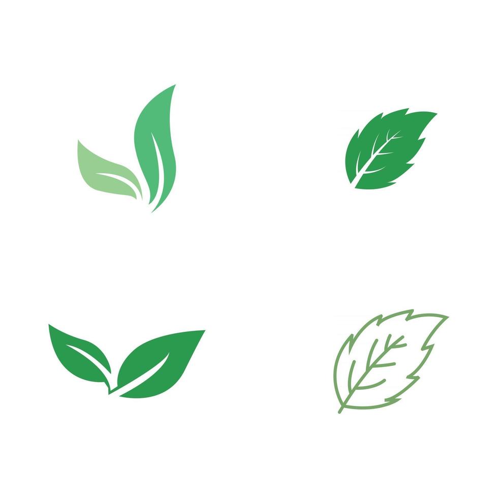 Green Tree leaf ecology nature element vector