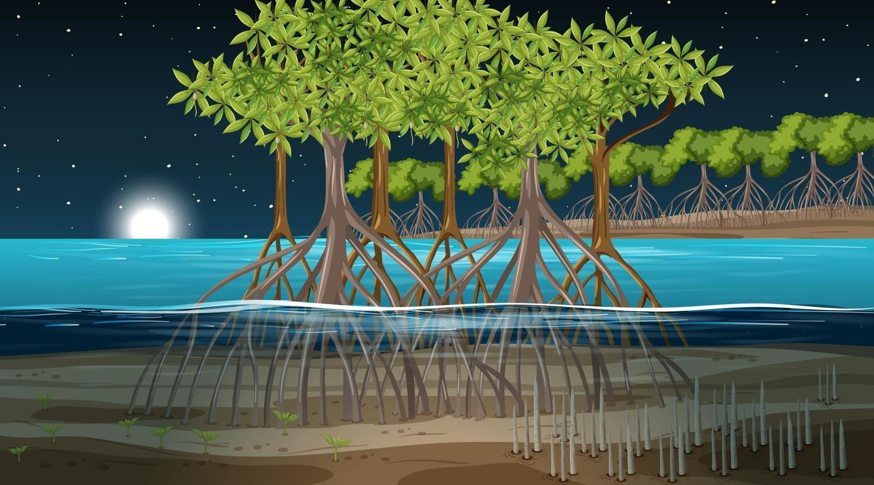 Mangrove forest landscape scene at night vector